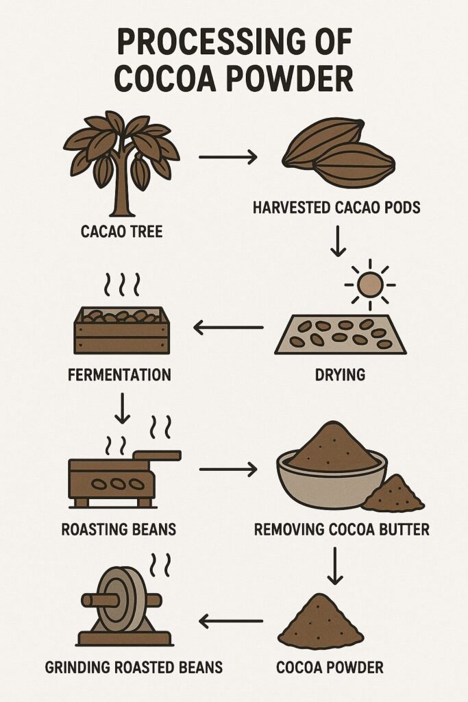 Cocoa powder processing steps