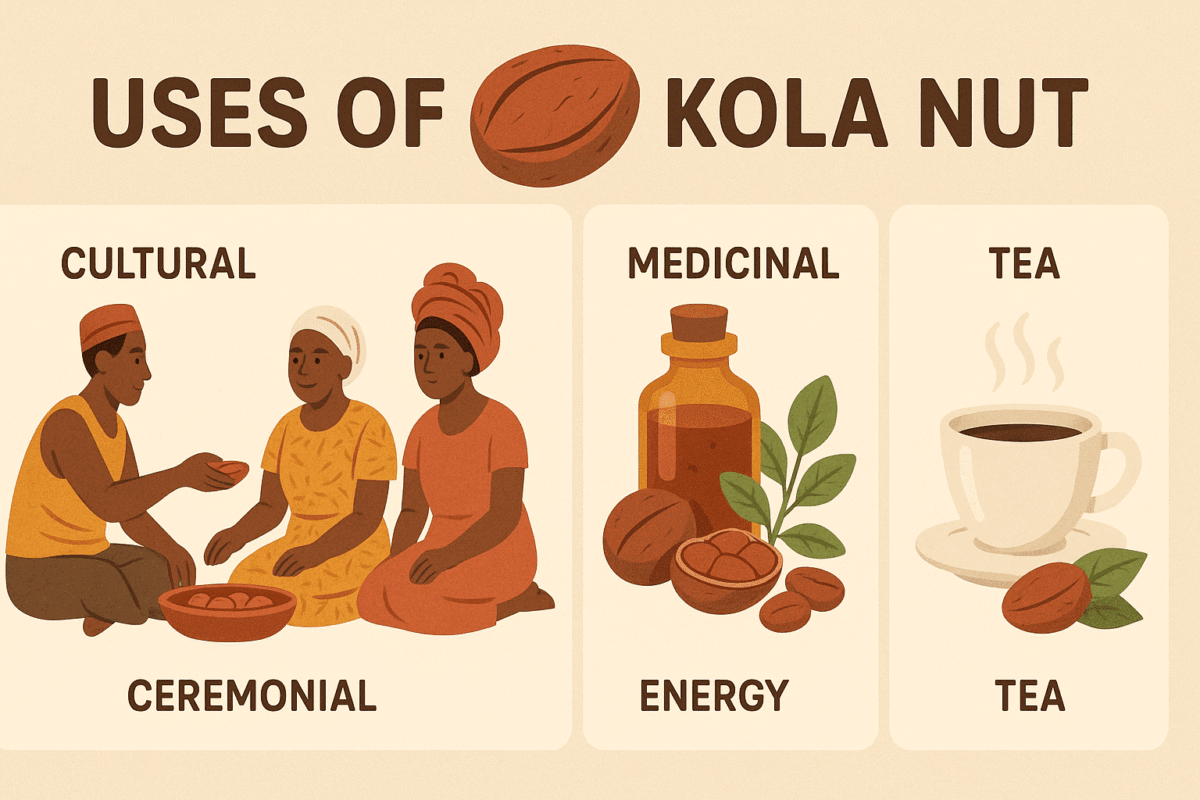 Kola nut uses